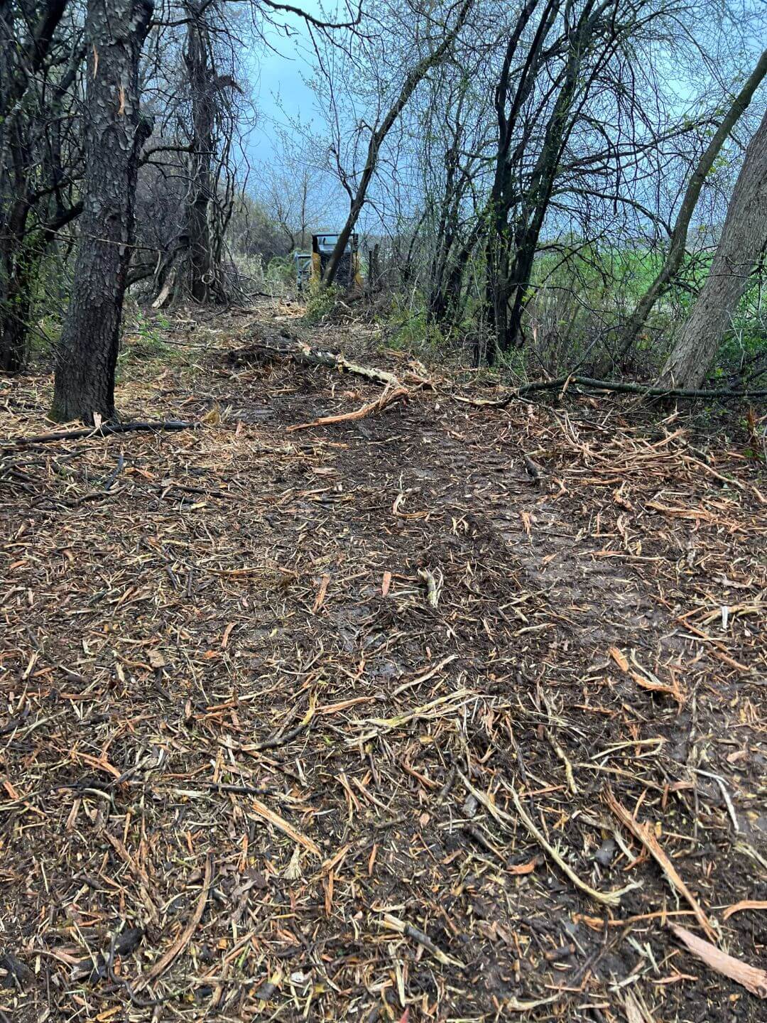 Brush Cutting (Videos & Photos) Chuck's Fence