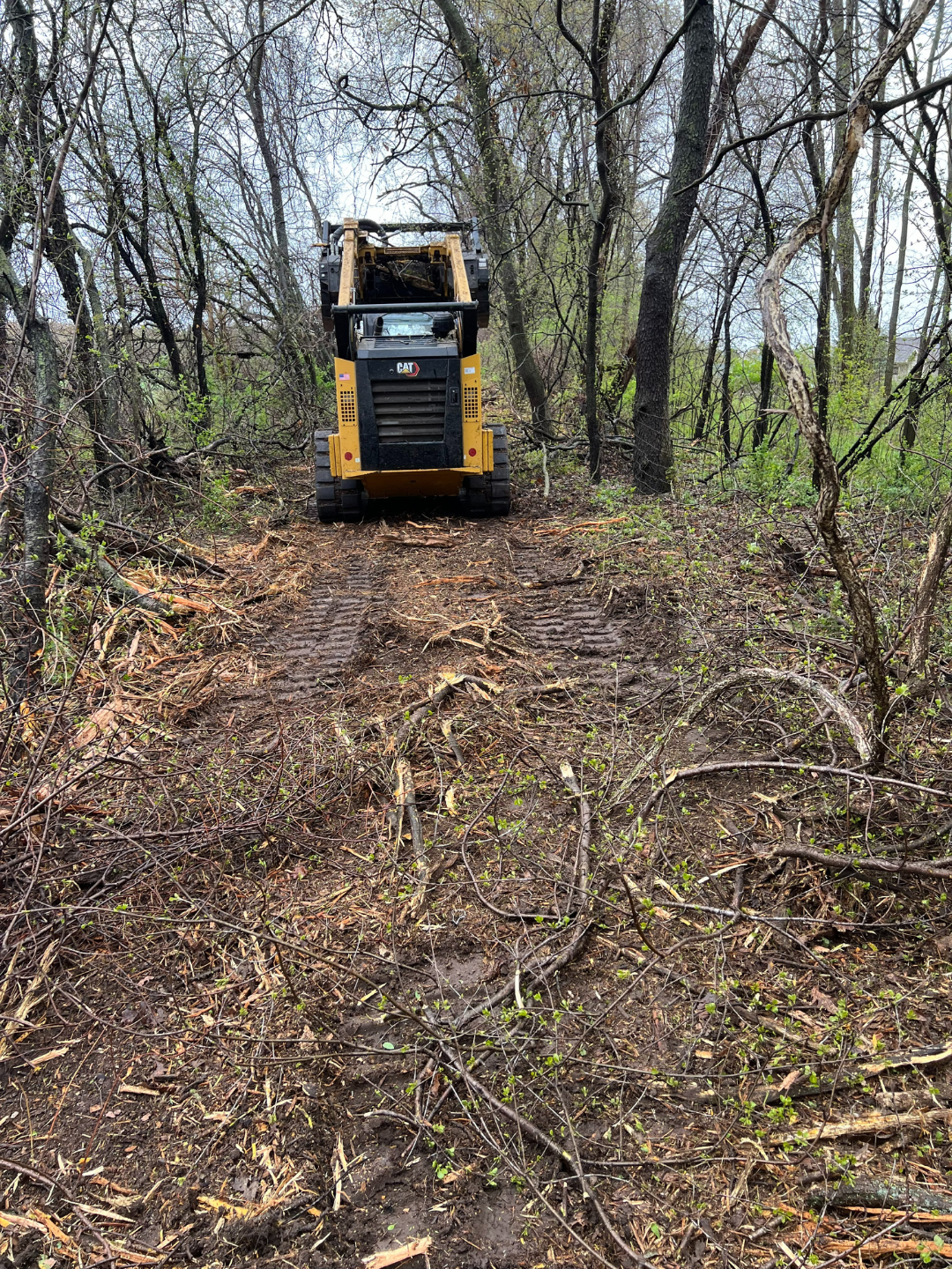 Brush Cutting