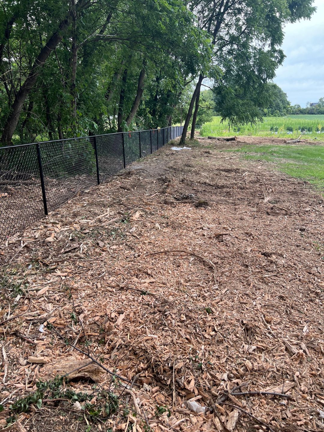 Forestry Mulching
