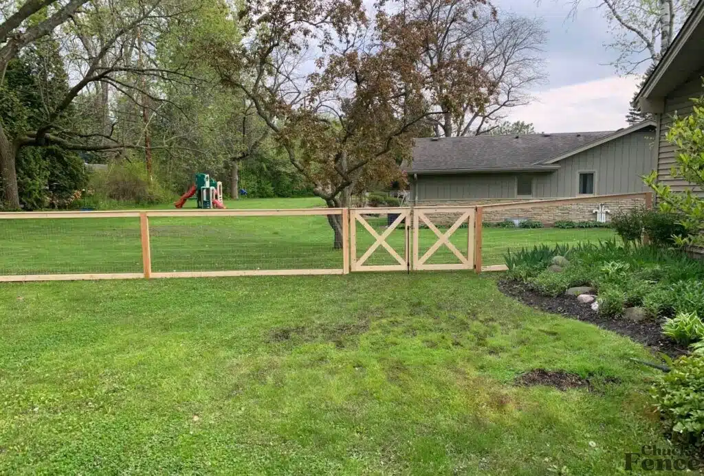 Dog Fence